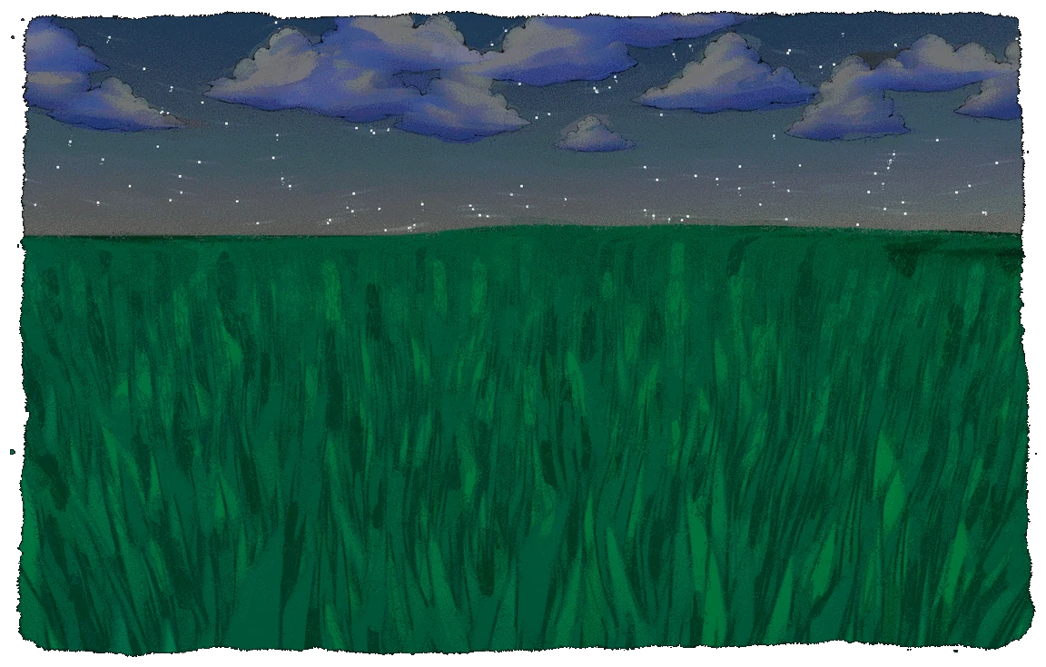 A painted meadow of tall green grass under clouds and stars at night