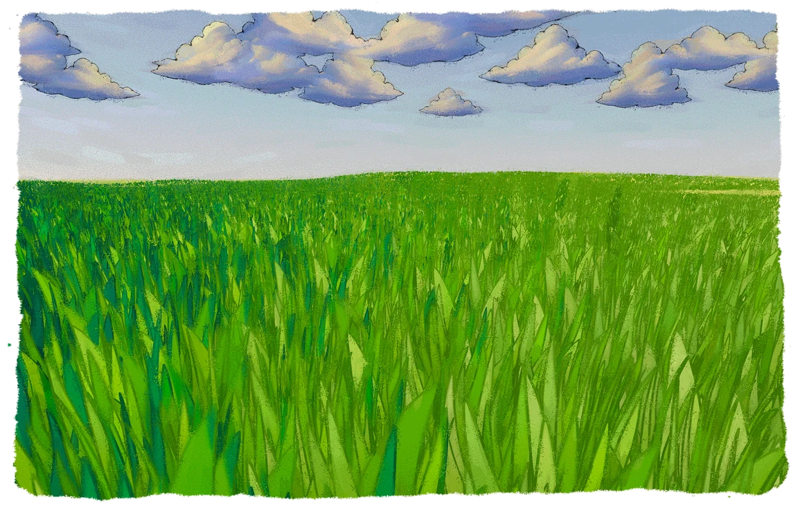 A painted meadow of tall green grass under a band of clouds